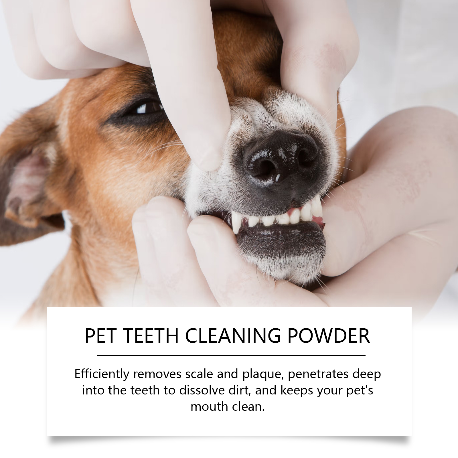 Pet Teeth Cleaning Powder Redu - Teeth Whitening Street ulasan dan harga